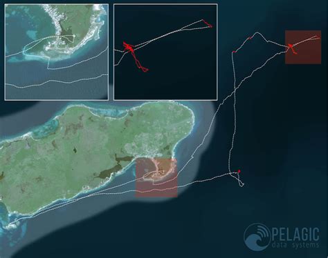 vts pds|Pelagic Data Systems.